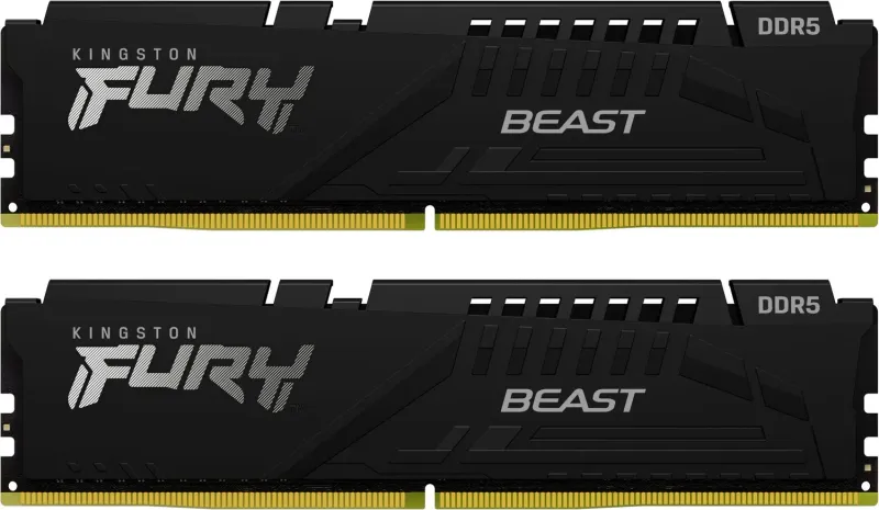 FURY Beast