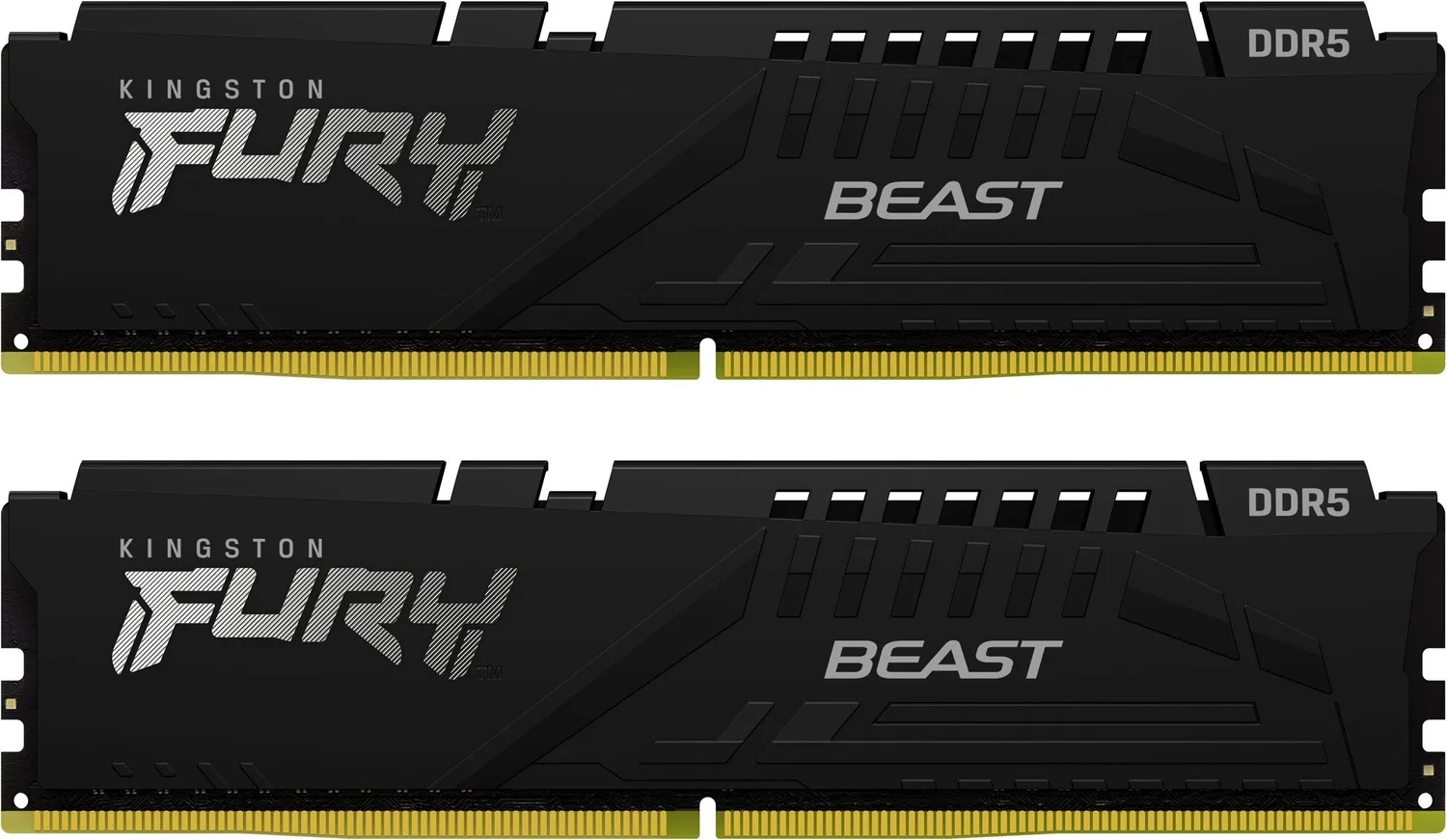 FURY Beast